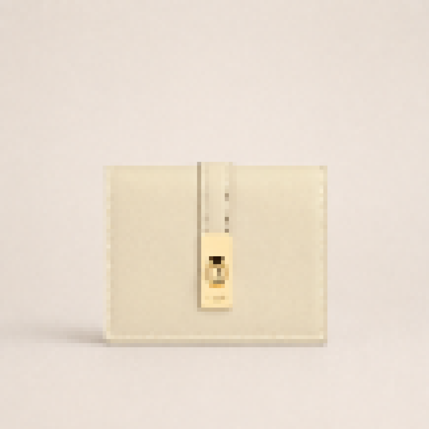Small Trifold Wallet with Secure Lock Closure for Daily Carry