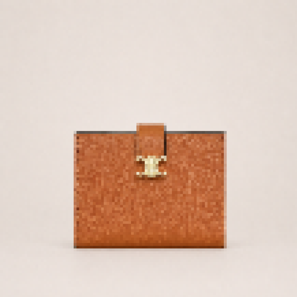 Compact Wallet with Clasp Closure and Card Slots for Daily Carry