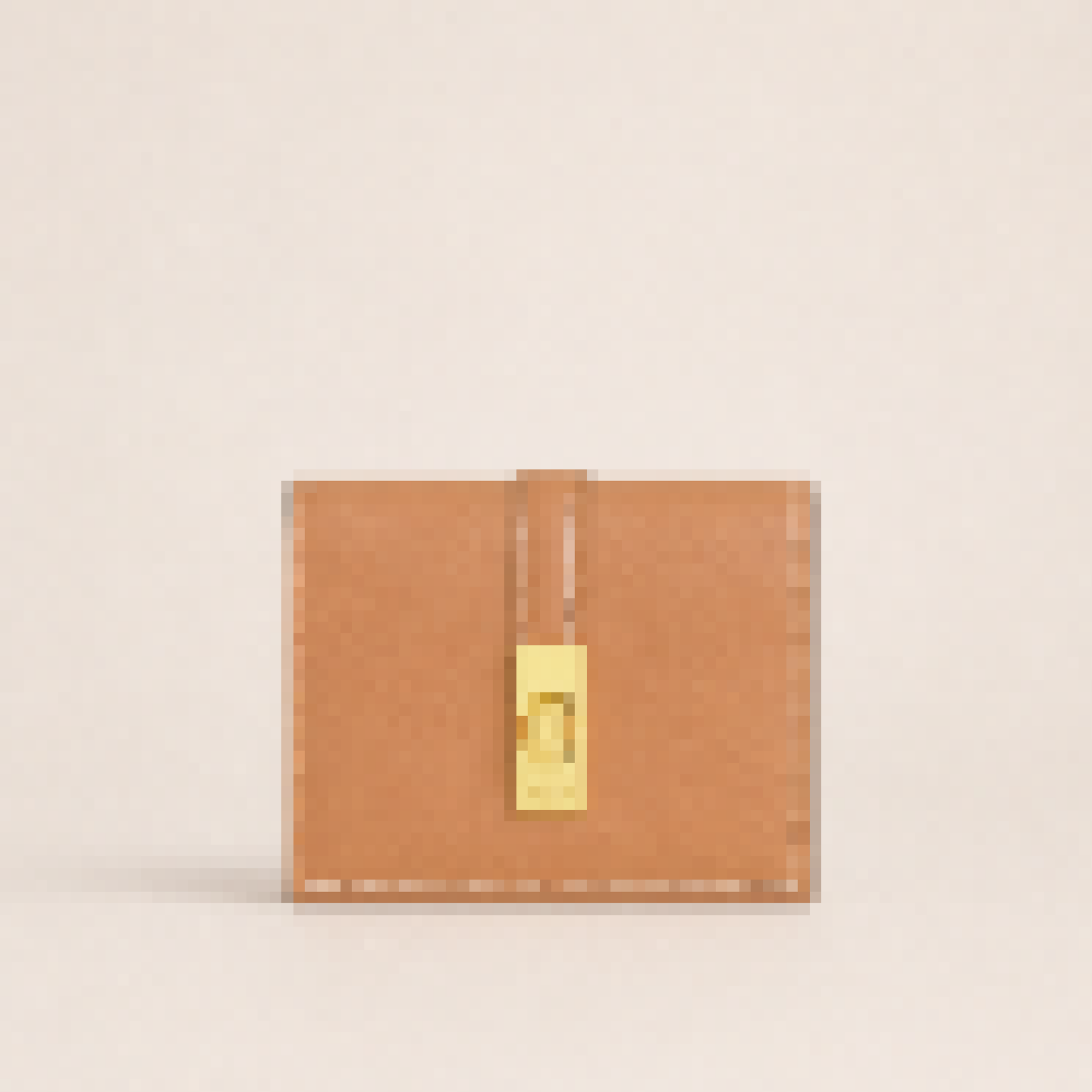 Small Trifold Wallet with Secure Lock Closure for Daily Carry