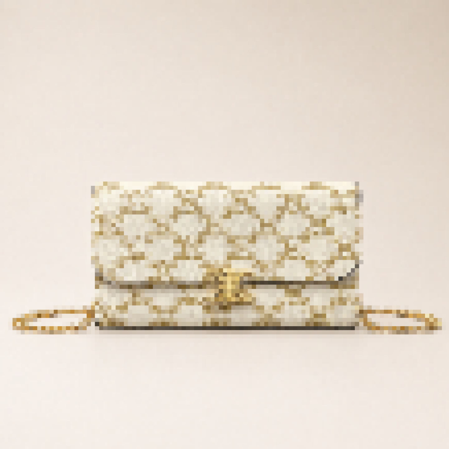 Chain Wallet Crossbody Bag with Adjustable Strap for Daily & Evening Carry